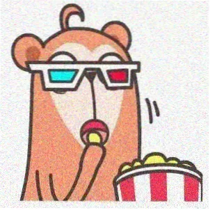 观众柯基的头像